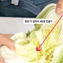 '유산균 김치' 만드는 법 이미지