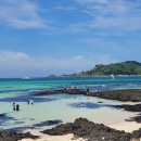 달시플러스 이미지