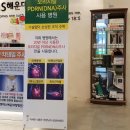 씨엔에스정형외과의원 이미지