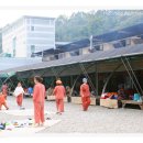 참숯가마골랜드 이미지