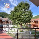 동해무릉건강숲 | 강원도 동해시 숙소 &lt;동해무릉건강숲&gt; 가성비 좋고, 6인실 이용, 물놀이 오선녀탕이 있고, 조식, 석식...