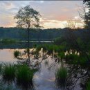 세종대왕한의원 이미지