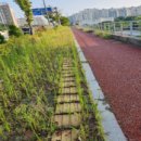 탑팀재활의학과의원 이미지