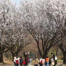 매화 어린이집 이미지