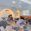 리아노원 이미지