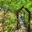 월아산 숲속의 진주 이미지