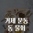 거제물회 이미지