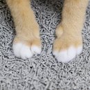 (주)아로펫 이미지