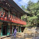 까치소리 | 서울 여행 | 8월 한여름 금선사 템플스테이 체험형 힐링 후기