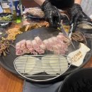 호야네92