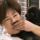 정자역(마을) 이미지