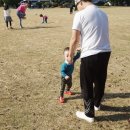 리안농장 이미지