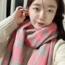 비비드 핑크 네이버블로그