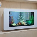 마주어린이집 이미지