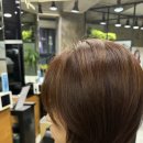 국화살롱