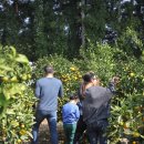 제주가족의 시간 이미지