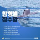 해군잠수함사령부(909전대)