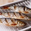 청해활어회센타 | 전어 먹는 계절이 왔다! 전국 전어 맛집추천포함, 전어 투어 완벽 가이드