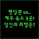 가온누리 게스트하우스 | 랜딩관 중문통나무 가온누리 제주 숙소 3곳 완벽 비교 당신의 취향은