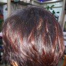 헤어랜드 이미지