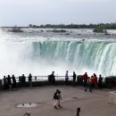 백경농장 이미지