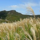 [제84차정기산행] 경남창녕 화왕산 산행계획 이미지