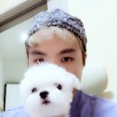 사랑의동물병원 이미지