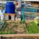 제일종묘농약사 이미지