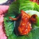 독도쭈꾸미 - 관악구 남부순환로226길 19 | 독도쭈꾸미