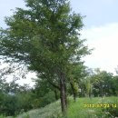 구구농장 이미지