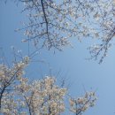 새동원공인중개사사무소 이미지