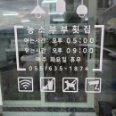 농소 | [거제] 🌊 거제도 횟집 추천 – 농소부부횟집 모듬회 특대 후기 🍣🐟