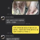 성남다온동물병원