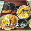 양덕동200 | 포항양덕동맛집 | 포항점심맛집 바삭함 최고 유키가츠&amp;텐동 포항양덕점 솔직후기