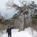 별마로천문대 이미지