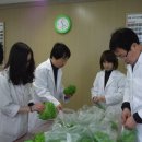 서초성심노인복지센터 이미지