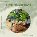 그림책과 함께하는 인성 수업 | 그림책과 함께하는 원예수업 반려식물 만들기 파주일산고양원예
