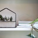 플랜테리어 홈가드닝 이미지