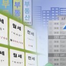 홍구조연구소