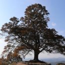 임천면행정복지센터 이미지