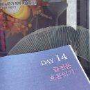 [4/19] 취미 타로(초급) | 마이라이트 타로학습지 후기 4주차 - 21일