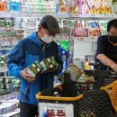 포인트 유통 이미지