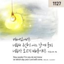 11월27일 [대림 제1주일] 복음: 마태 24,37-44: 너희는 늘 준비하고 있어라. 이미지