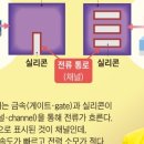 나노시대 이미지