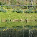 입곡문화공원 이미지