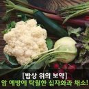 국민건강보험 일산병원