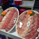 죽도시장 | 포항 가면 꼭 들러야 할 곳 싱싱한 회와 얼큰한 매운탕 맛집, 죽도시장 방문후기