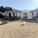 3월펜션 | 제부도 애견동반 펜션 제부포레스트 1박 후기