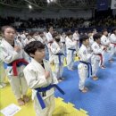 한상기 주짓수 이미지