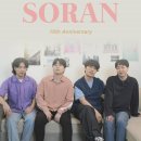 소란 티브이데일리